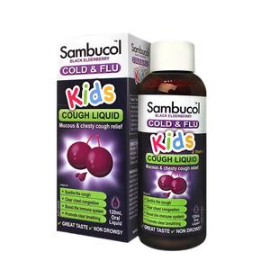 澳洲Sambucol善倍康小黑果黑接骨木儿童保健品小绿叶糖浆120ml