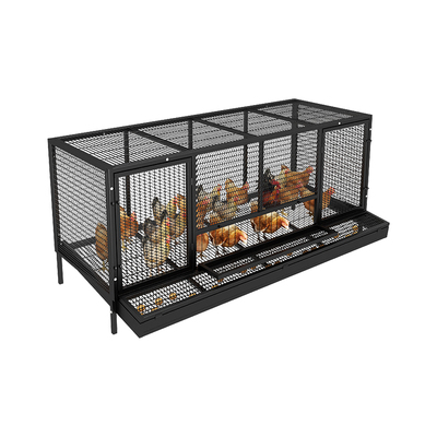 厂家直销蛋鸡笼加密链条网自动出蛋防啄蛋多门带喂食孔超大空间