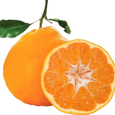 顺丰精选不知火丑橘新鲜脆甜