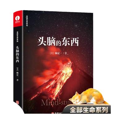 头脑的东西杨定一的书