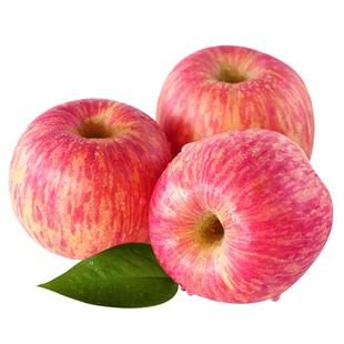 正宗山东烟台苹果栖霞红富士水果10当季整箱脆甜新鲜应5斤平萍果