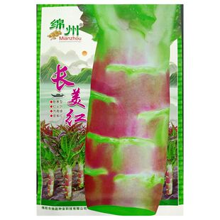 绵州长美红莴笋种子紫红尖叶紫红皮翠绿肉瓤莴苣绵蔬种籽越冬10克