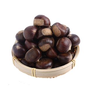 2025正宗迁西板栗生新鲜现摘3113燕山甜油栗小毛栗子生栗