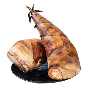 【现货】新鲜甜竹笋5斤装 云南马蹄笋农家野生现挖应季野菜甜龙笋