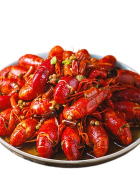 麻辣小龙小调料酱料包底料袋装