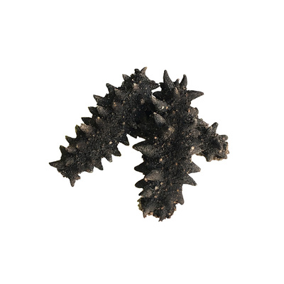 俄罗斯海参野生干货鲜活即食