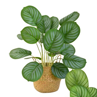 北欧客厅仿真植物绿植摆件假花ins风装饰家居小盆栽桌面创意摆设