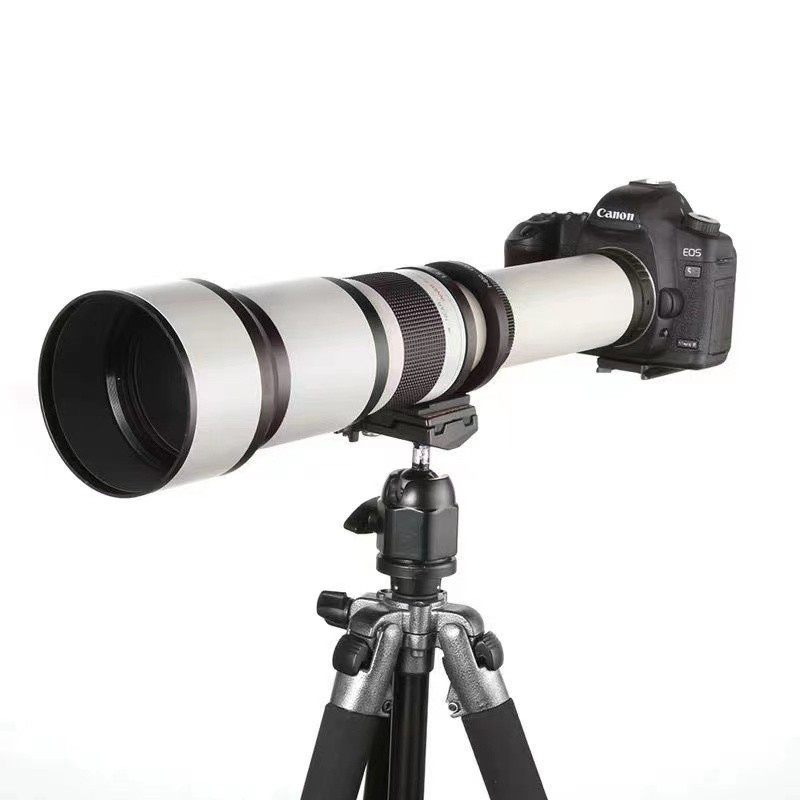 650-1300mm镜头远摄佳能打鸟
