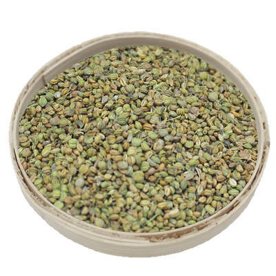 新货莳萝香肠罗子莱芜香料调料