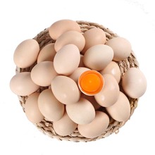【岗淮】谷物鲜鸡蛋30枚【40-45g】
