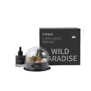 旷野秘境香薰礼盒扩香晶石室内家用摆件铃兰柑橘精油送闺蜜生日礼