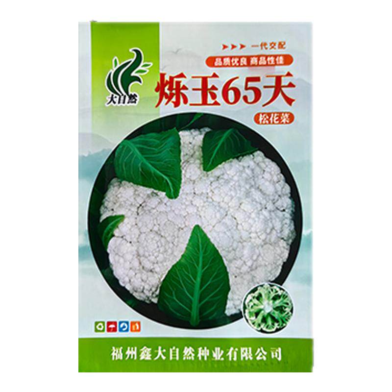 65天松花菜种子早熟高产抗病耐热65/80/100/120天蔬菜花菜种子