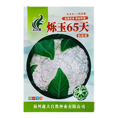 65天早熟高产松花菜蔬菜种子