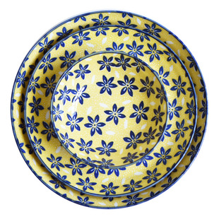 日式陶瓷菜盘家用轻量瓷进口盘子骨碟套装8寸深盘彩绘小菜碟子