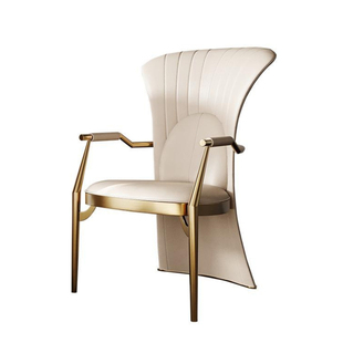 轻奢高级感茶桌椅子创意艺术感主人椅现代简约书桌办公椅家用茶椅