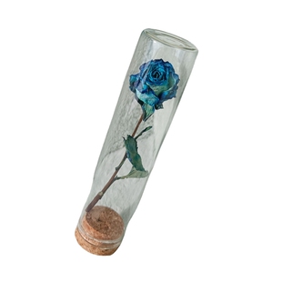 小王子的玫瑰花圣诞节生日礼物干花一朵天然真花永生花礼盒送女生