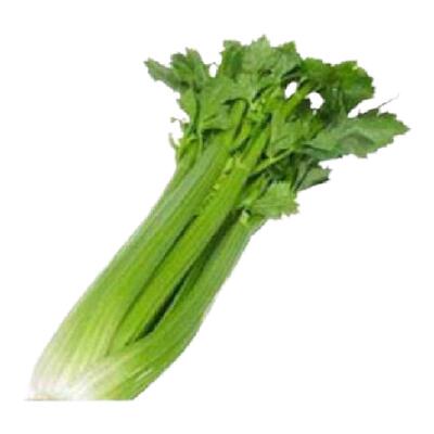 新鲜西芹蔬菜可以榨汁