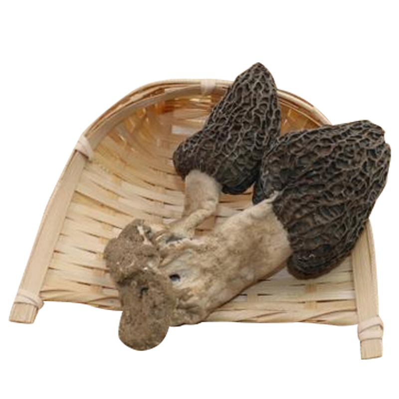 新货深山采摘羊肚菌干货50g包邮 土特产干蘑菇香菇厨房食材