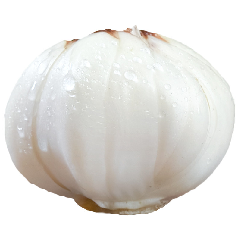 新鲜百合兰州食用农家甘肃土特产