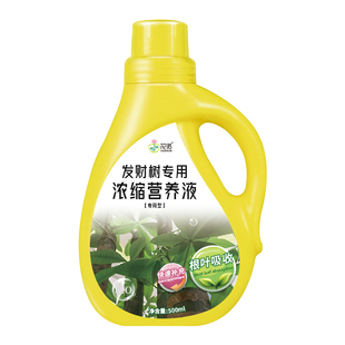 发财树营养液肥料专用肥治叶子发黄掉叶烂根花肥室内盆栽植物通用