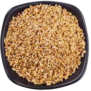 柏子仁500克包邮野生新货去壳柏子仁 柏子仁干柏子仁粉优质中药材