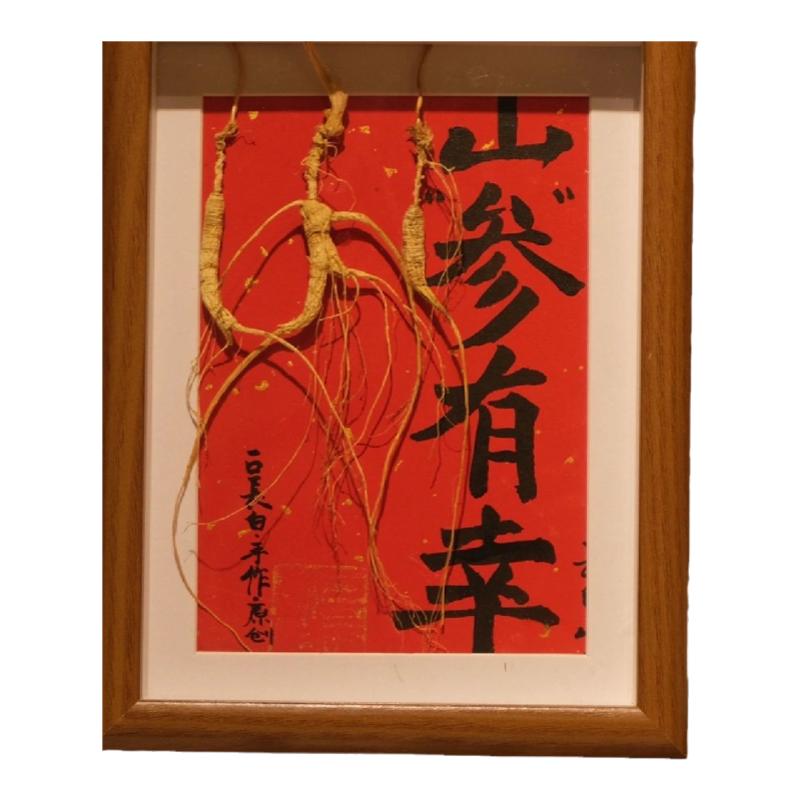 人生躺赢相框摆台人参文创摆台