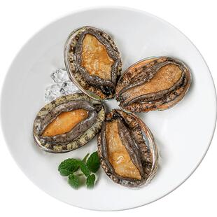 大连鲜活鲍鱼冷冻鲍鱼大个鲍鱼鲜活海鲜棒棰岛新鲜鲍鱼