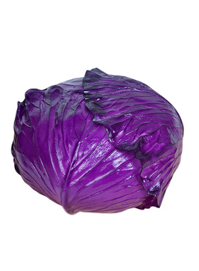 仿真包菜模型装饰用品道具