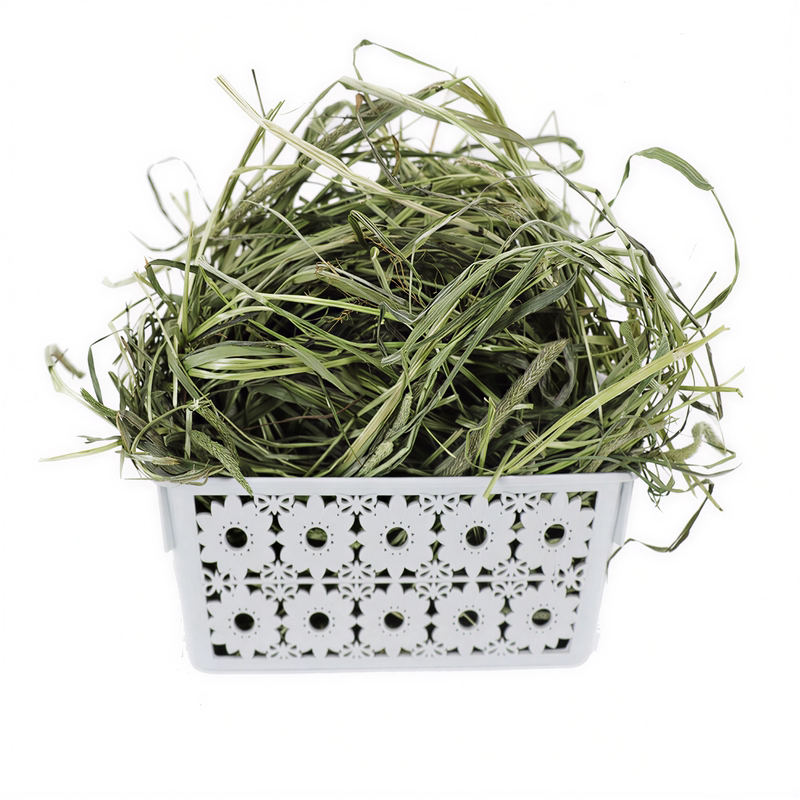 提摩西草晒干兔子草归乡提宠物牧草荷兰猪草料兔粮兔饲料干草提草