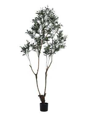 仿真绿真高级感氛围饰盆栽假植物