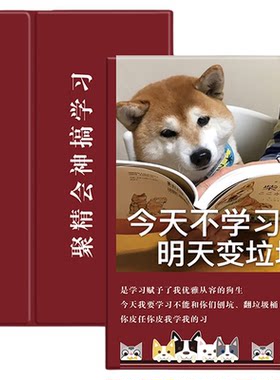 小米平板5卡通风全包防摔保护套