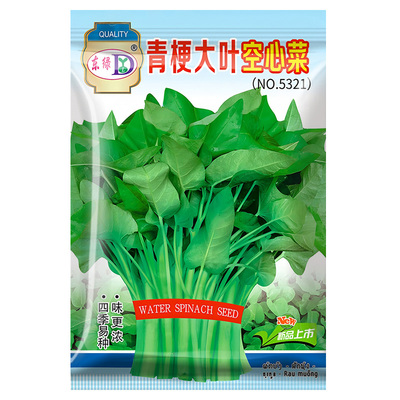青梗大叶空心菜种子买2送1