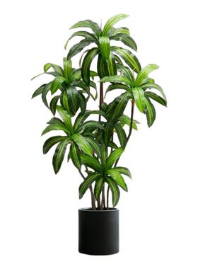仿真绿植高端轻奢巴西木