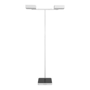 木秀于林热光源双头大路灯落地护眼灯钨丝白炽全光谱无影智能语音