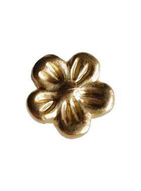 非金属花朵轮廓金色涂层纽扣