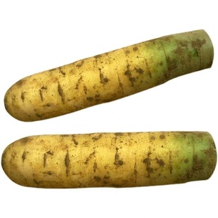 山西黄萝卜新鲜胡萝卜蔬菜手抓饭农家疏菜时令当季胡萝卜2/3/5斤