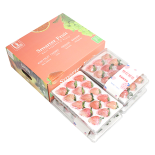 顺丰空运2/4盒礼盒装云南粉玉冬草莓现摘新鲜水果淡雪白雪公主送