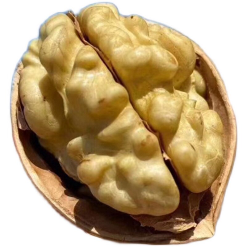 未清洗阿克苏185新疆纸皮核桃纸皮/薄皮核桃