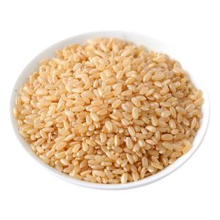 纯糙米新米5斤孕妇减餐代餐七色糙米饭健身低脂粗粮五谷杂粮米粥