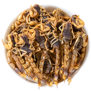 寻百草全蝎中药材清水蝎子全蝎干中药材干足干钳蝎全虫干货正品