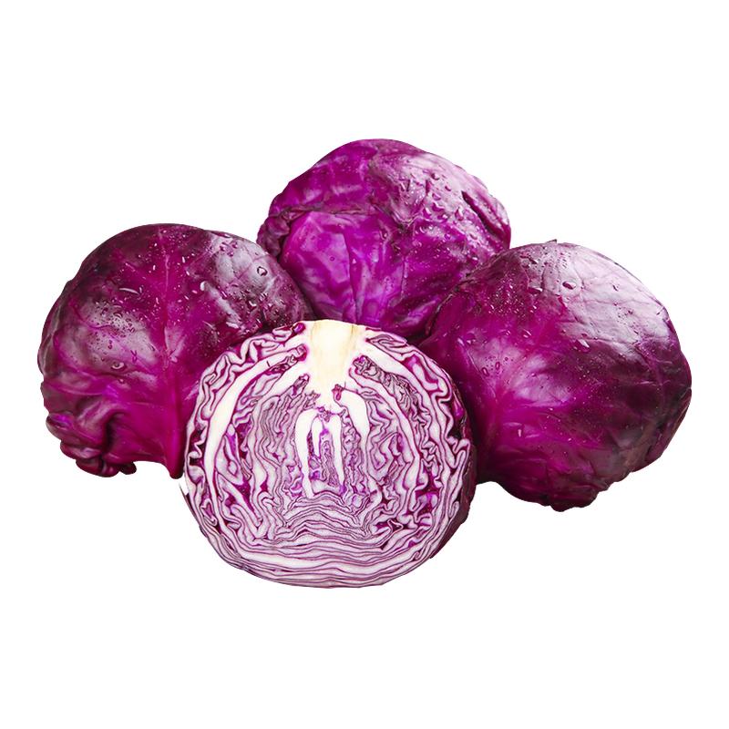 新鲜紫甘蓝5斤农家现摘卷心菜沙拉椰菜紫包菜批发蔬菜包邮5包邮