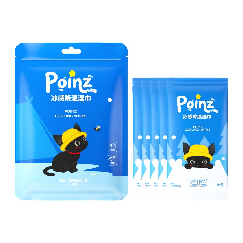 【华晨宇同款】重点POINZ冰感降温湿巾快速降温户外便携湿纸巾
