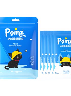 【华晨宇同款】重点POINZ冰感降温湿巾快速降温旅行户外便携湿巾
