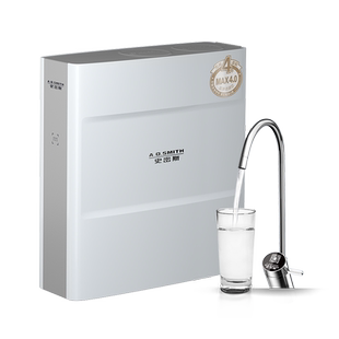 A.O.史密斯家用厨下大流量高水效直饮净水器R2000FWi-EE饮水机