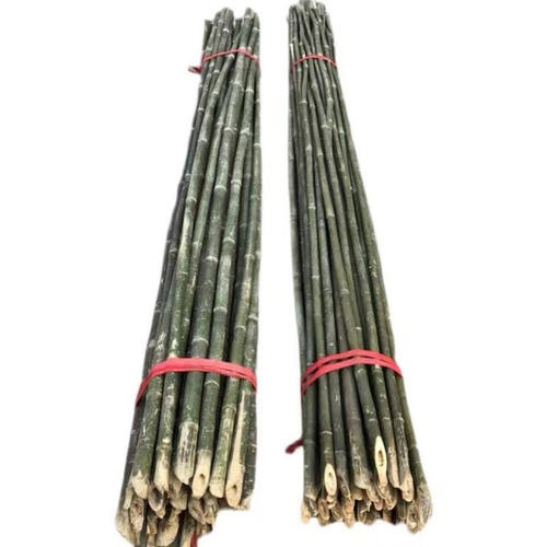 竹竿架种菜园搭架豆角架蔬菜爬藤粗细小竹竿彩旗杆细竹子篱笆栅栏