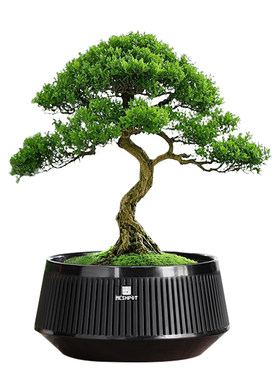 美莳盆景专用花盆2025新款