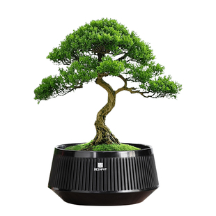 美莳盆景专用花盆榕树梅花文竹块根龙舌兰塑料仿紫砂透气控根浅盆