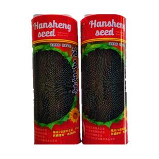 葵花种籽孑榨油太祖美国矮大头油葵种子200g向日葵种子葵花瓜子籽