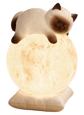 氛围感小夜灯暹罗猫月球灯摆件