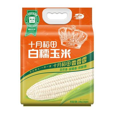 十月稻田东北白糯玉米大棒8根